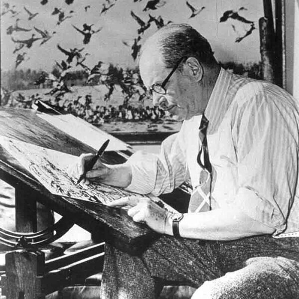 A black and white photograph of Jay "Ding" Darling sketching on paper at a drafting table.